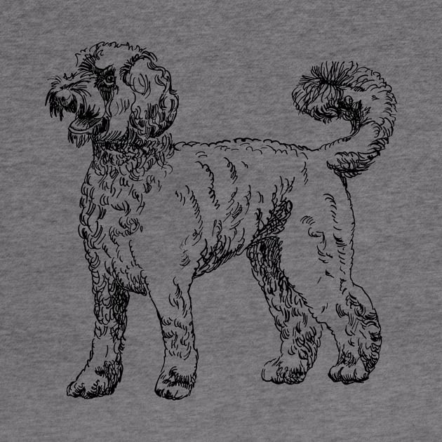 labradoodle portrait by VicaVeresk